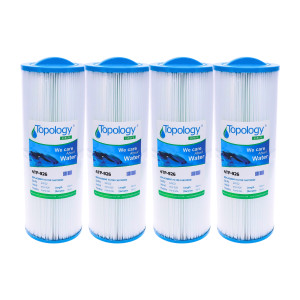 Éponge filtrante de type B GP Batteries, cartouches de filtre de piscine en  mousse réutilisables et lavables pour piscine Intex de type A, aquarium,  jacuzzi, piscine
