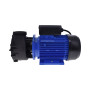 2-Speed Massage Pump WP250II - 2.5HP