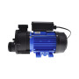 DH1.0 Pump - 1HP (0.75kW)