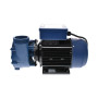 Pompe de massage HDP2200JII - 3.0HP - 2200W - bi-vitesse