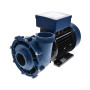 Pompe de massage HDP2200JII - 3.0HP - 2200W - bi-vitesse